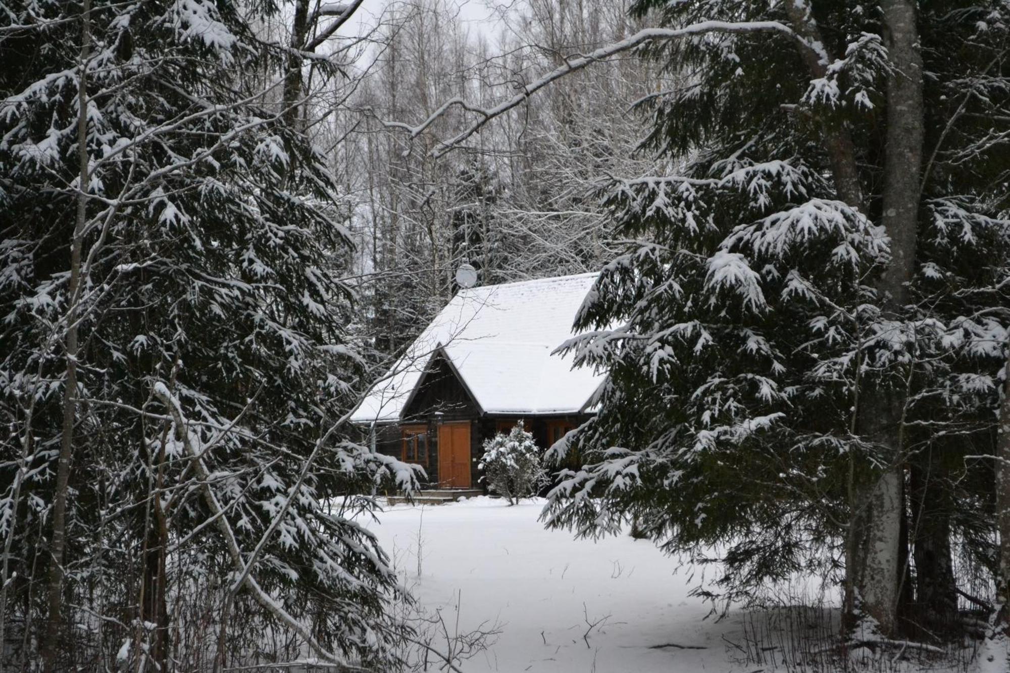 Toosikannu Nature Resort Käru Kültér fotó